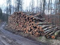 Kaminholz Brennholz Stammholz Buche Berlin - Spandau Vorschau