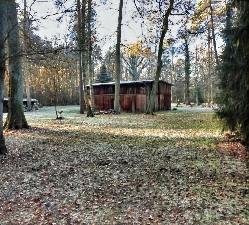 Seltene Gelegenheit: Traumhaus vor den Toren Bad Bevensens zu verkaufen! in Bad Bevensen