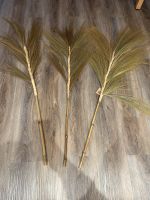 Pampas Wedel getrocknet boho Natur Nordrhein-Westfalen - Castrop-Rauxel Vorschau