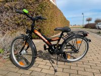 Kinderfahrrad 20 Zoll Pegasus Sachsen-Anhalt - Halberstadt Vorschau