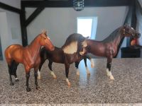 Breyer Pferde Halla,Andalusier und Joey aus Warhorse Hessen - Schlüchtern Vorschau