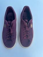 Puma Schuhe Gr. 38,5 Nordrhein-Westfalen - Bergheim Vorschau