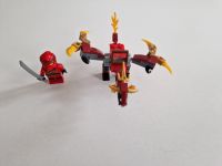 Lego Ninjago 30535 Feuerflug Mecklenburg-Strelitz - Landkreis - Cölpin Vorschau