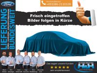 Ford Fiesta 1.0 Ecob Aut. C&C AHK+Navi+LED Brandenburg - Premnitz Vorschau
