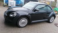 Volkswagen Beetle 1.2 TSI  Xenon/17" Alu Sommer+Winter Bayern - Maisach Vorschau