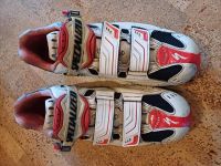 SPECIALIZED RENNRADSCHUHE Rheinland-Pfalz - Pirmasens Vorschau