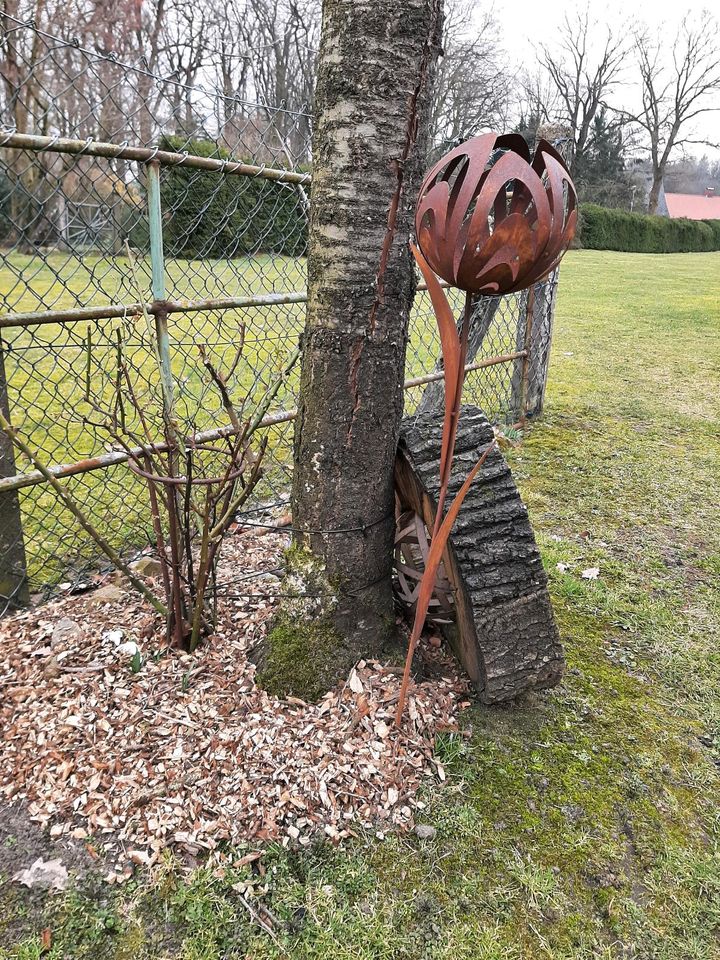 Rost edelrost deko Dekoration Garten Geschenk Blume beet in Kirchwalsede