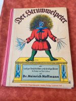 Antikes Buch „Der Struwwelpeter“ Baden-Württemberg - Mannheim Vorschau