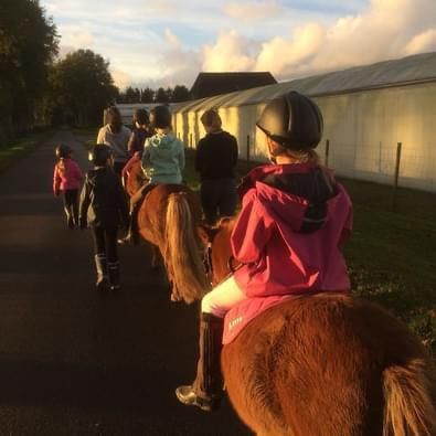 Reitpädagogin für Kinderreitunterricht (5 - 10 Jahre) gesucht in Bad Zwischenahn