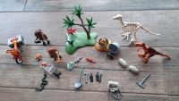 Playmobil Forscher Dino Zubehör zu verkaufen. Barleben - Ebendorf Vorschau