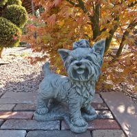 Steinfigur Yorkshire Terrier Garten Dekoration Nordrhein-Westfalen - Korschenbroich Vorschau
