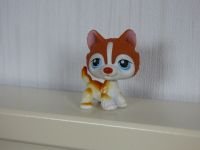 Littlest Pet Shop # 341 - Husky Niedersachsen - Steyerberg Vorschau