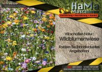 Wildblumenwiese anlegen Nordrhein-Westfalen - Espelkamp Vorschau