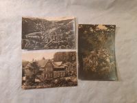 3 x Ansichtskarte Treseburg Harz, Postkarte Willi Koch E. Riehn Sachsen - Eibenstock Vorschau