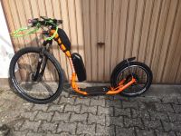 Dog Scooter Tektoss Wildcat mit 500W e-Motor Rheinland-Pfalz - Rengsdorf Vorschau