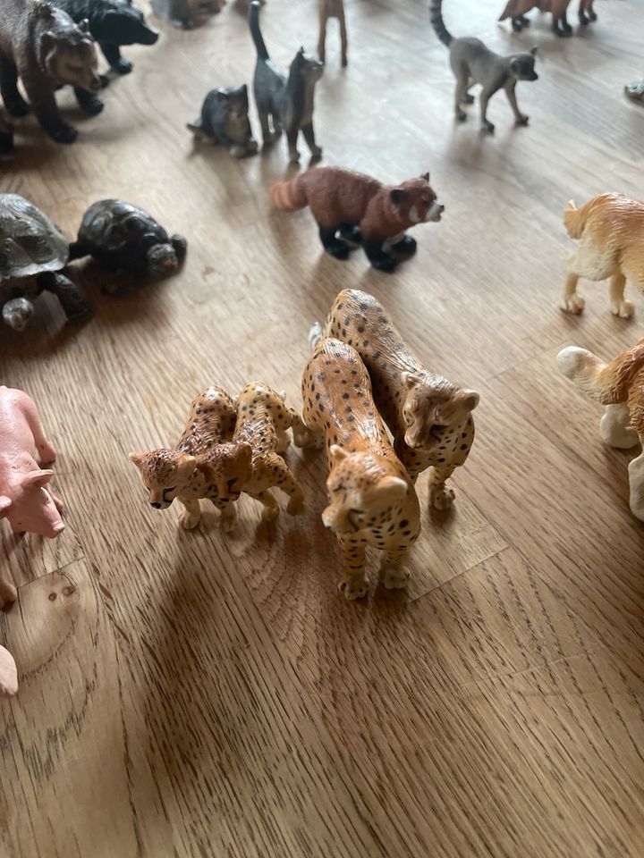 125 Schleich Tiere, bespielt in Bonn