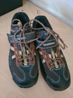 Radschuhe von Shimano Gr. 42 Niedersachsen - Peine Vorschau