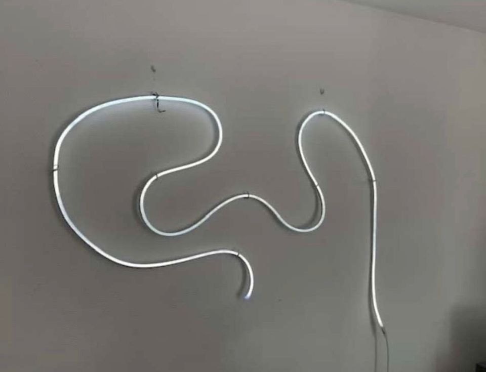 Neon LED Strip 230V für Innen & Außenbereich in Freilassing