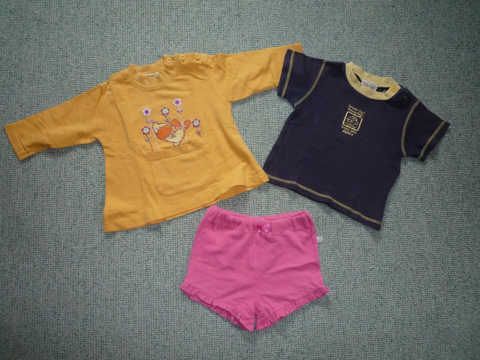 Shirts  T-Shirt  Sweatshirt  Shorts  Größe 74 in Schifferstadt