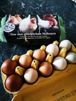 Eier von glücklich Hühner Niedersachsen - Nordstemmen Vorschau