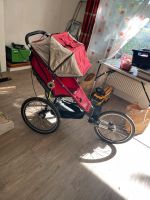 BabyJogger Nordrhein-Westfalen - Detmold Vorschau