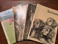 Der kleine Tierfreund div. Ausgaben 1973-1976 Nordrhein-Westfalen - Bad Münstereifel Vorschau