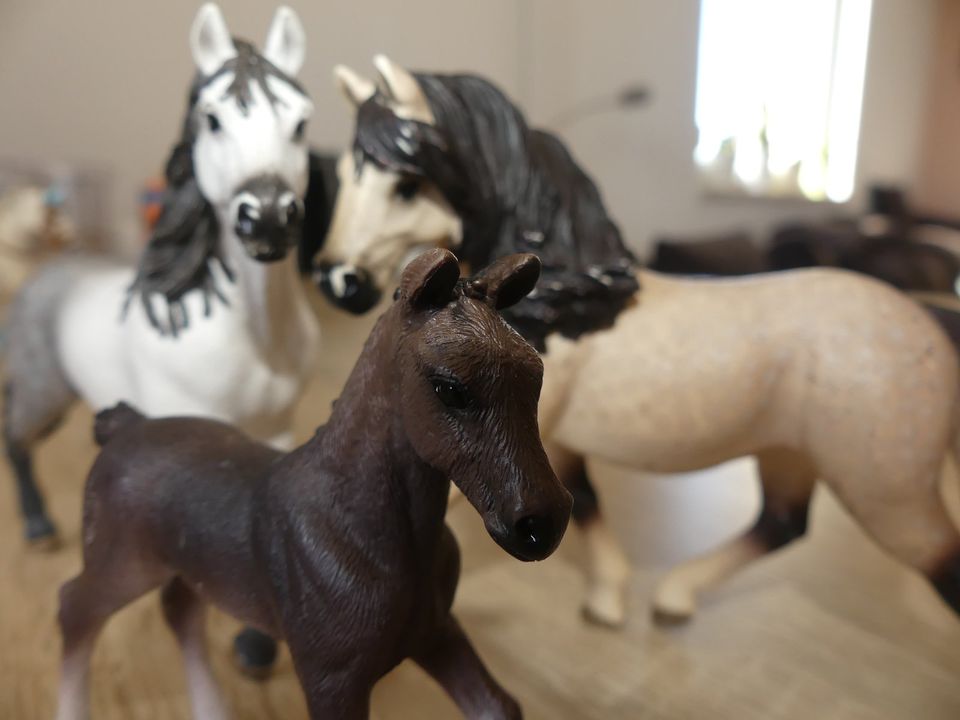 Schleich Pferde Andalousierfamilie (13793, 13821, 13822) in Hermsdorf