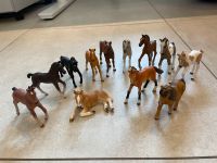 Schleich Fohlen Baden-Württemberg - Ludwigsburg Vorschau