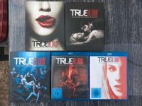 True Blood Staffel 1-5 /  Blu Ray Sachsen - Leisnig Vorschau