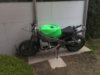Kawasaki ZX6R ZX600F Stuntbike Niedersachsen - Negenborn Vorschau