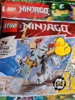 Lego Ninjago Figur Ice Dragon Creature 2in1 Set#30649 OVP & Neu Nordrhein-Westfalen - Südlohn Vorschau