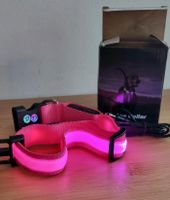 LED Hundehalsband - Pink Schleswig-Holstein - Dannewerk Vorschau