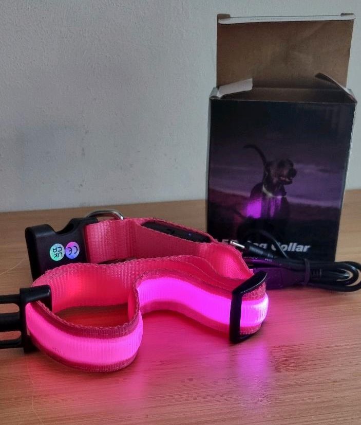 LED Hundehalsband - Pink in Dannewerk