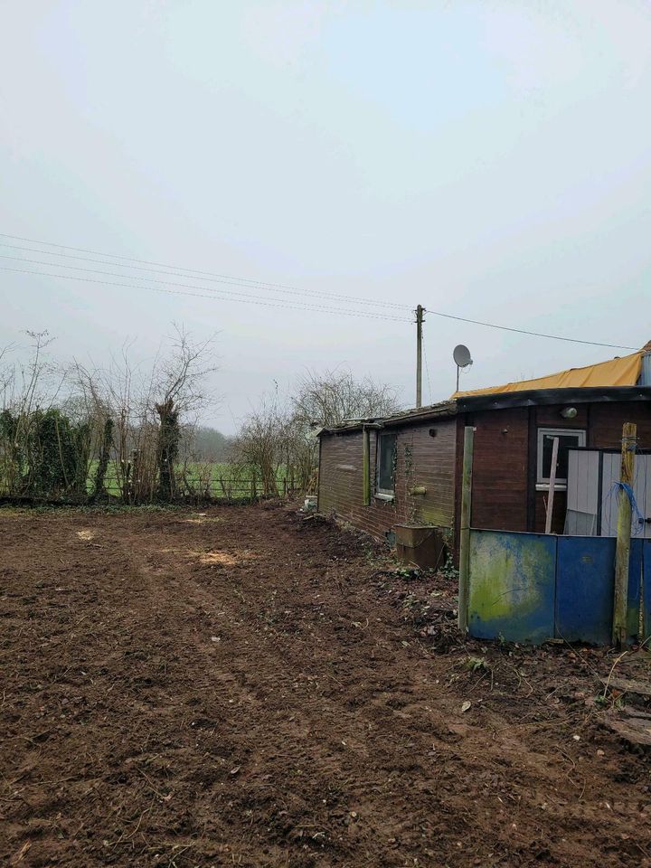 Gartenarbeit Gärtner Hecke schneiden Fläche  roden in Goch