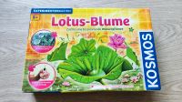 Lotus-Blume Wasserpflanze züchten von KOSMOS Bielefeld - Senne Vorschau