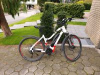 Haibike S Duro Cross 6.0 / Größe 48 Nordrhein-Westfalen - Horn-Bad Meinberg Vorschau