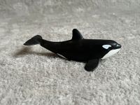 Schleich wal orca kalb Schleswig-Holstein - Flensburg Vorschau