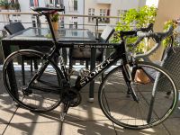 Storck Scenero G2 Größe 55cm in Schwarz Berlin - Pankow Vorschau