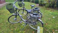 2 x E-Bike Gazelle Damen Herren Niedersachsen - Holdorf Vorschau