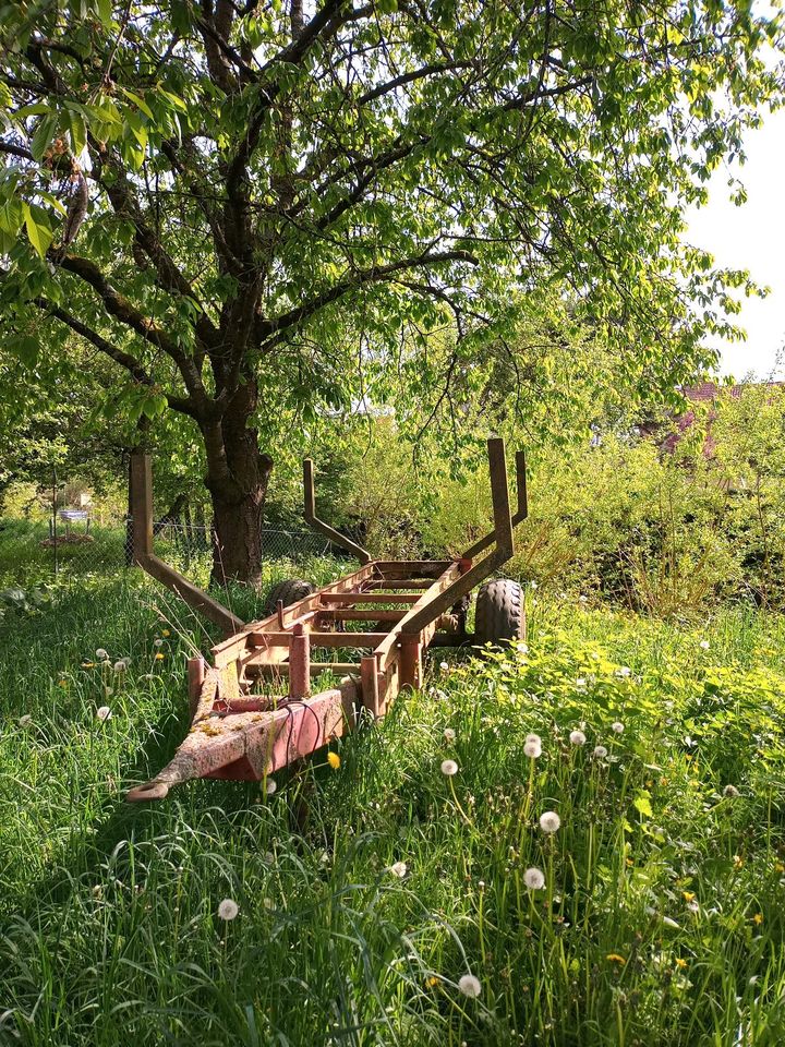 Stammholzwagen - Langholzwagen - Rückewagen in Seckach