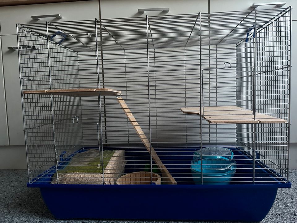 Hamster Käfig mit Zubehör in Magdeburg