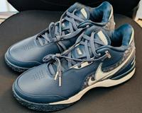 Nike LeBron James Herrenschuhe Hessen - Bad Nauheim Vorschau
