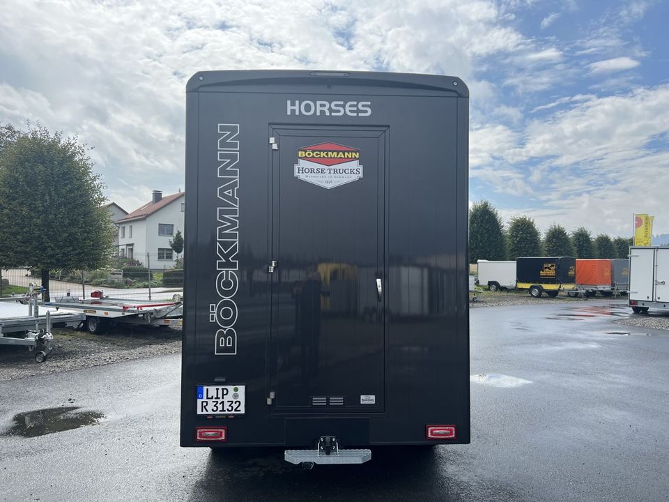 gebrauchter Böckmann Pferdetransporter Fiat Ducato 9929975 in Horn-Bad Meinberg