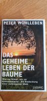 Bücher Peter Wohlleben Bäume Niedersachsen - Bad Harzburg Vorschau
