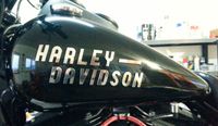 Harley Davidson Edelstahl Laser Zuschnitt für Tank Schriftzug Niedersachsen - Karwitz Vorschau