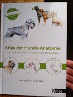 Hunde Anatomie Buch Niedersachsen - Wilhelmshaven Vorschau
