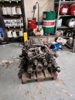 Bmw E46 E39 330d 530d Motor Einzelteile M57D30 Baden-Württemberg - Bodman-Ludwigshafen Vorschau