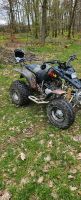 Barossa quad 170ccm tüv neu Nordrhein-Westfalen - Nachrodt-Wiblingwerde Vorschau