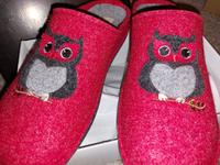 Hush Puppies Hausschuhe neu rot Eule Filzpantoffel Wollfilz Dresden - Blasewitz Vorschau