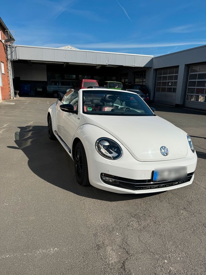 Volkswagen Beetle Cabrio 60s Edition in Nordstemmen